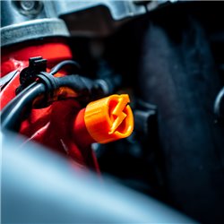 Round Steering Lock Protection