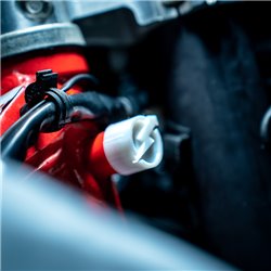 Round Steering Lock Protection