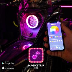 Fantic 3.1 RGBW - Loccis Eye